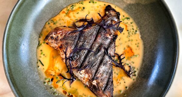 The Que Club's kingfish collar on a roe and vermouth velouté